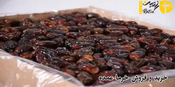 خرید و فروش خرما عمده